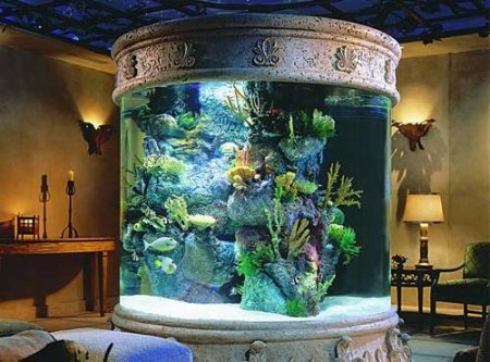   Элементы декора квартиры - аквариум